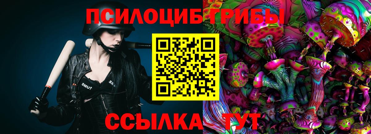 Усть-Лабинск  Псилоцибиновые грибы GOLDEN TEACHER  Вход с VPN 